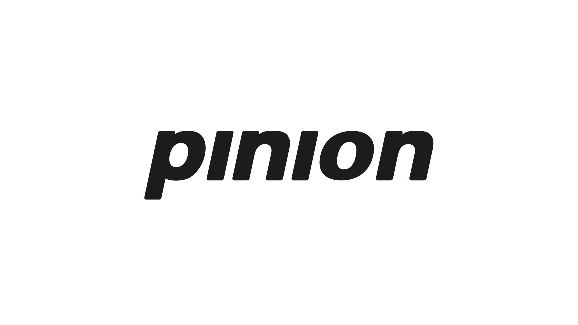 portus-cycles-referenzen-pinion-01